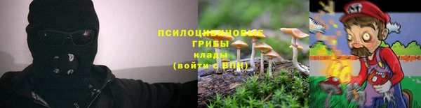 дурь Алзамай