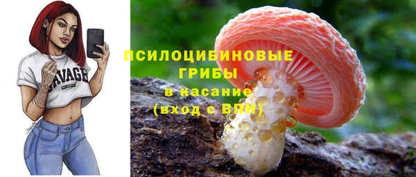 шишки Алексеевка